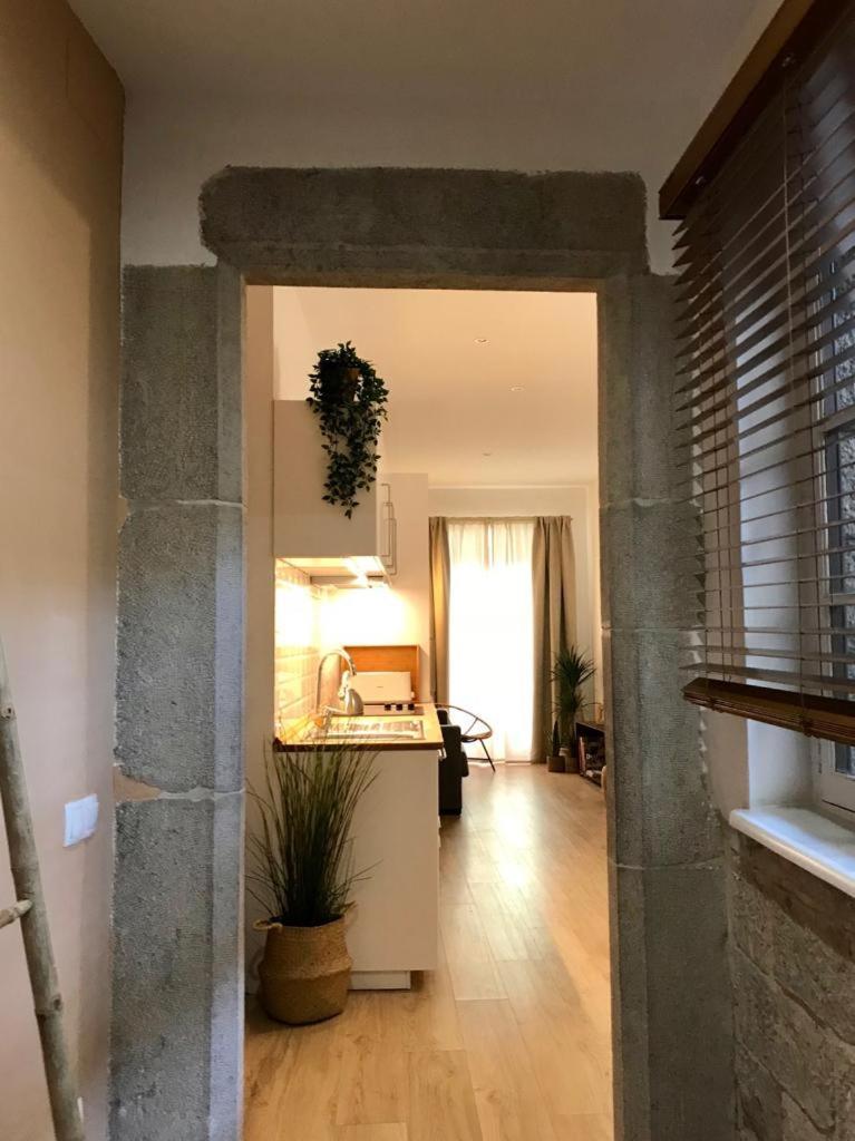 赫罗纳Apg Palau Salieti 2公寓 外观 照片